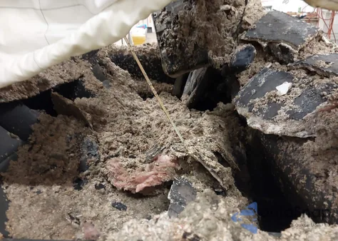 2019 Toyota 4Runner Sr5 Premium from USA, damaged, VIN JTEBU5JR2K5612032